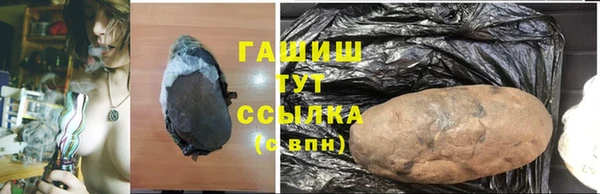 индика Магас