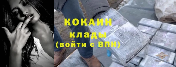 дживик Алзамай