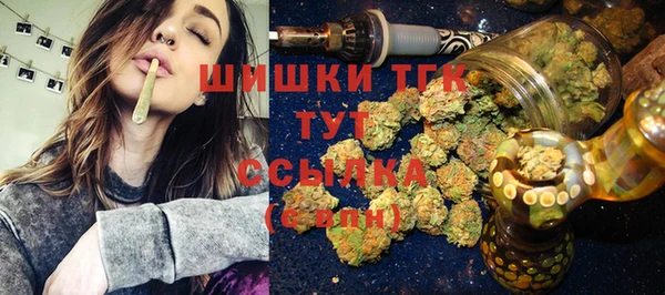 стаф Майский