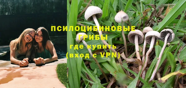 наркотики Алексин