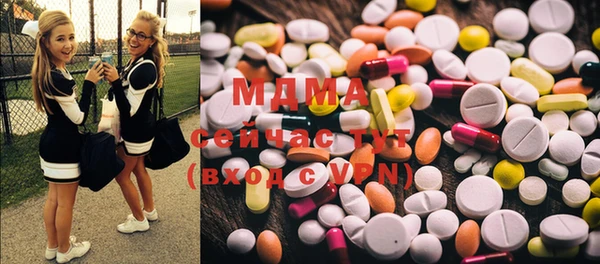 индика Магас