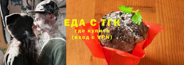 индика Магас