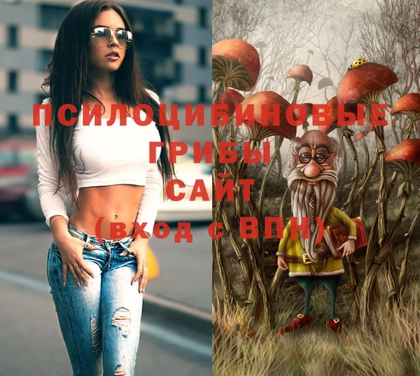 стаф Майский