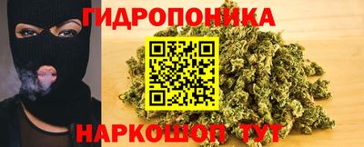герыч Можга