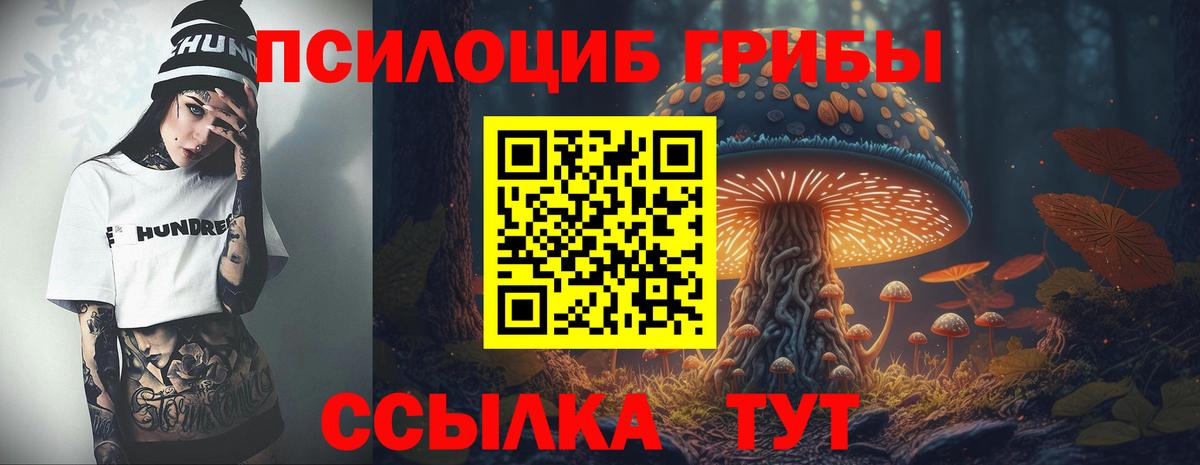Псилоцибиновые грибы Psilocybe  Вход с VPN  Чебоксары 
